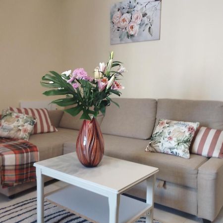 Spacious Apartment La Mata Pool&Beach Torrevieja Eksteriør billede