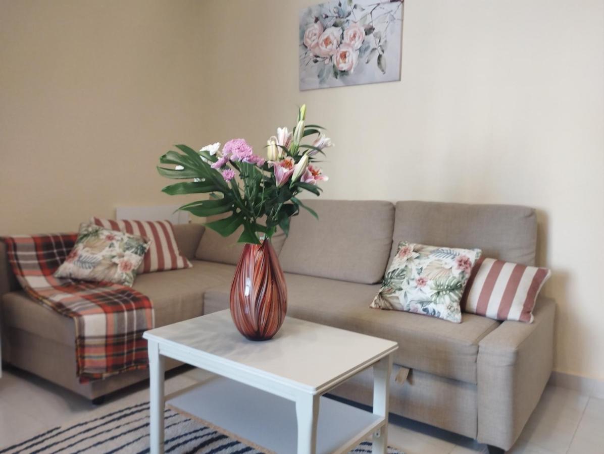 Spacious Apartment La Mata Pool&Beach Torrevieja Eksteriør billede